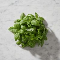 Albahaca fresca