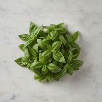 albahaca
