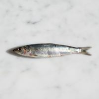 Anchoa fresca