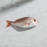 caldo de pescado