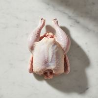 Carcasa de pollo