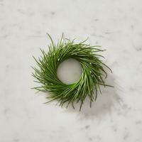 Ciboulette