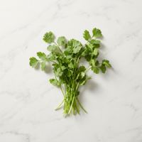 Cilantro