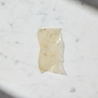 Gelatina