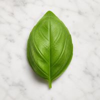 Albahaca