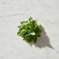 Albahaca fresca