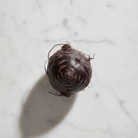 ingrediente desconocido