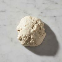Masa madre