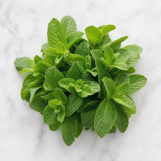 hojas de menta