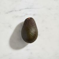 Palta