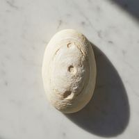 Pan de Viena