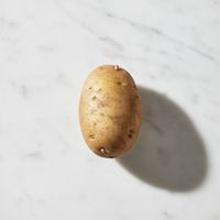 Patata