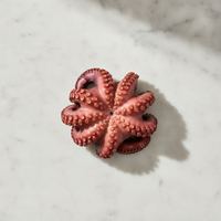 pulpo cocido