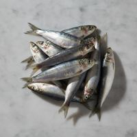 Sardinas en lata