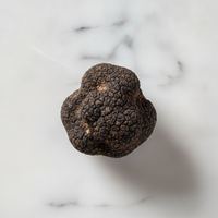 trufa de verano