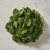 Verdura de hoja verde