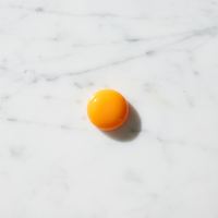 Yema de huevo